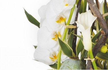 image d'un calla et d'orchidées de la composition