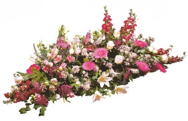 image de la raquette de fleurs fuchsia du nom de Paisible