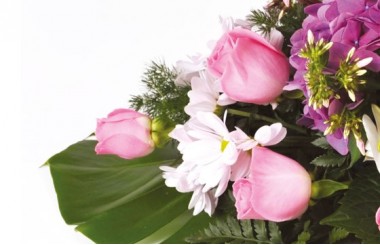 zoom sur des roses roses de la composition florale de deuil Memory