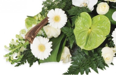zoom sur des gerberas blancs et un anthurium vert