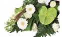zoom sur des gerberas blancs et un anthurium vert