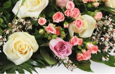 vue sur un ensemble floral rose, rosette et gypsophile