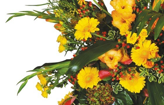 vue sur des glaïeuls jaune et des gerberas jaunes de la couronne Lumière