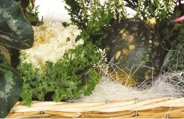 L'Agitateur Floral | vue sur les décorations de la composition de plantes Étincelle