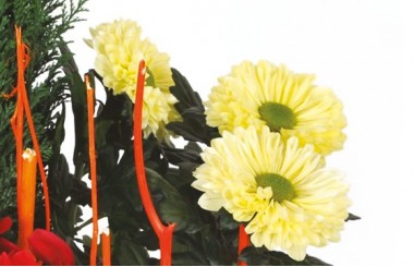 L'Agitateur Floral | L'Agitateur Floral | zoom sur les chrysanthèmes de la Composition de deuil rouge & jaune Jardin d'Hiver