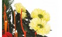 L'Agitateur Floral | L'Agitateur Floral | zoom sur les chrysanthèmes de la Composition de deuil rouge & jaune Jardin d'Hiver