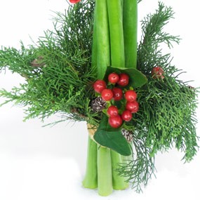 mosaïque : vue sur l'hypéricum du Bouquet d'Amaryllis L'enchanteur