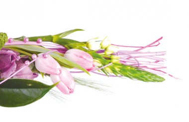 zoom sur les tulipes rose du Bouquet de fleurs Envol