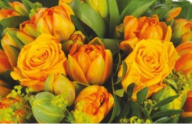 zoom sur les roses et tulipes orange