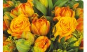 zoom sur les roses et tulipes orange