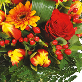 mosaïque : zoom sur des tulipes du Bouquet de fleurs multicolore Sensation