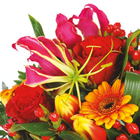 mosaïque : zoom sur le haut du Bouquet de fleurs multicolore Sensation