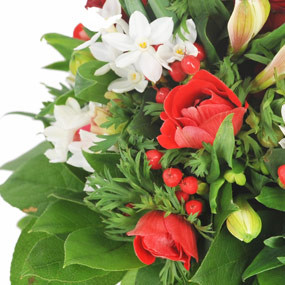 mosaïque : zoom sur les anémones du Bouquet de saison Gentleman