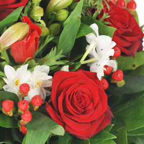 mosaïque : zoom sur une magnifique rose rouge du Bouquet de saison Gentleman