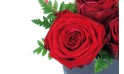 zoom sur une rose rouge du Composition de roses rouges Cupidon