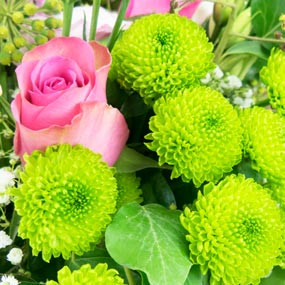 mosaïque : macro sur les santinis du Bouquet rond de fleurs Lily Rose