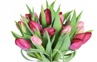 macro sur les tulipes du Bouquet rond Prunelle