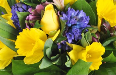 macro sur les fleurs du Bouquet de fleurs de saison Mamina