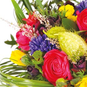 mosaïque : macro sur le Bouquet rond coloré Sourire