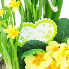 mosaïque : macro sur la décoration du Panier printanier de Jonquilles et Primevère