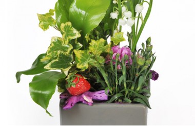 zoom sur le centre de la Composition Muguet Plaisir