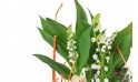 macro sur le muguet de l'Assemblage de Plantes Aubaine