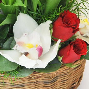 mosaïque : macro sur la cymbidium de la Composition de Muguet Prestige