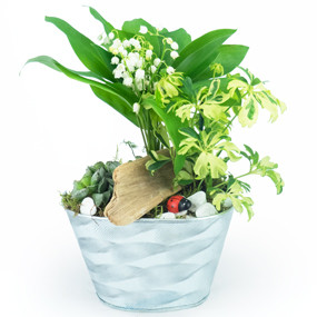 mosaïque : vue sur la Composition de muguet Brin de Jardin