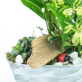 mosaïque : macro sur les décorations de la Composition de muguet Brin de Jardin