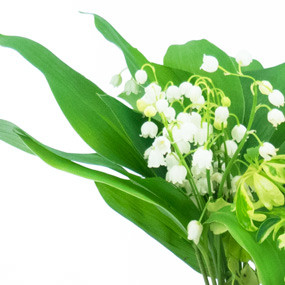 mosaïque : zoom sur le muguet de la Composition Brin de Jardin