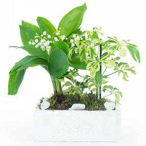 mosaïque : vue sur la Composition de Muguet du nom de Brin de Détente