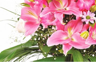 l'Agitateur Floral | zoom sur des lys rose du Bouquet de fleurs rose Eclatant