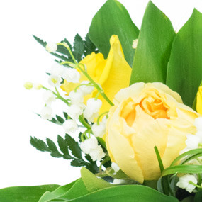 mosaïque : zoom sur le muguet