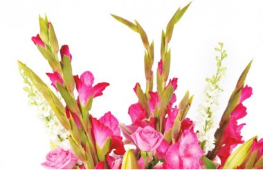 L'Agitateur Floral | zoom sur les glaieul rose du Bouquet de fleurs rose Eclatant