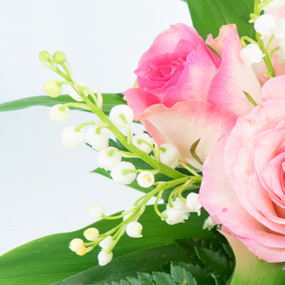 mosaïque : macro sur un brin du muguet