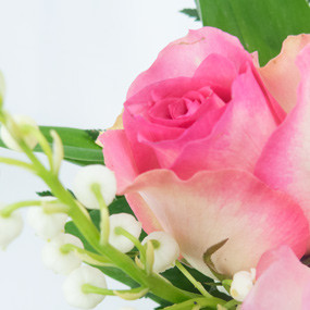 mosaïque : zoom sur une rose rose