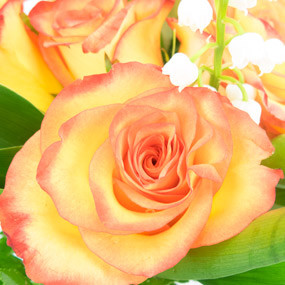 mosaïque : zoom sur une rose orange