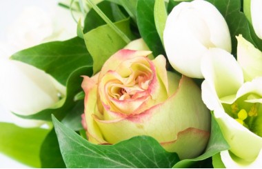 L'Agitateur Floral | Image avec un zoom sur une rose jaune