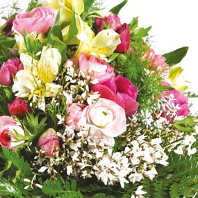 Zoom photo du bouquet Marquise