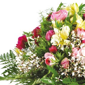 Zoom photo du bouquet Marquise