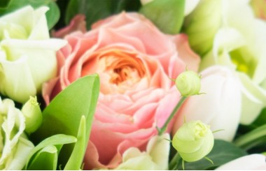 L'Agitateur Floral | image sur une rose rose et lisianthus