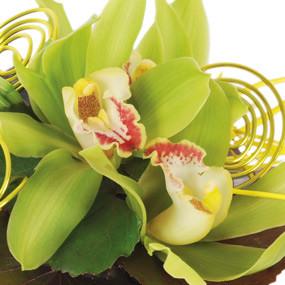 Zoom droit composition de fleurs Gaité