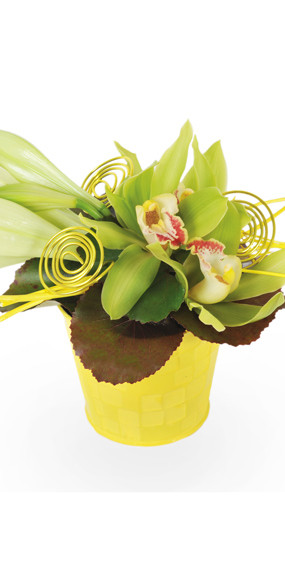 Zoom milieu composition de fleurs Gaité