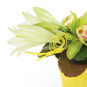 Zoom gauche composition de fleurs Gaité