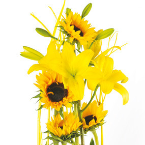 Zoom haut composition florale Equilibre