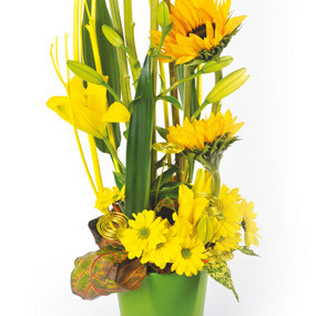 Zoom bas composition florale Equilibre