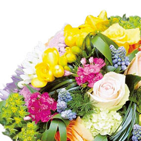 Zoom droit bouquet de fleurs multicolore Fougue