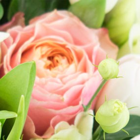 zoom sur la rose rose du bouquet de fleur