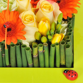 Zoom gauche composition carré Bilbao