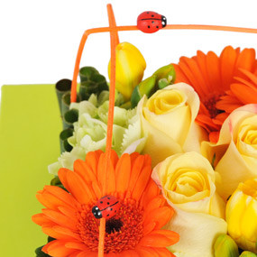 Zoom droit composition carré Bilbao